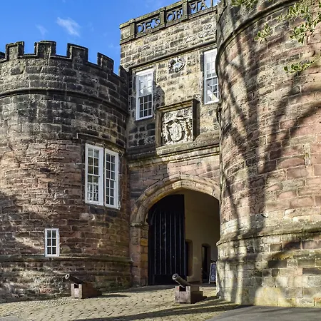 Bold Venture 斯基普顿