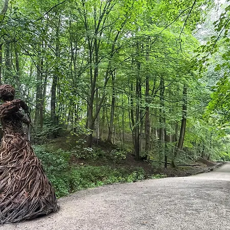 度假居 Bold Venture *