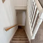 Bold Venture *